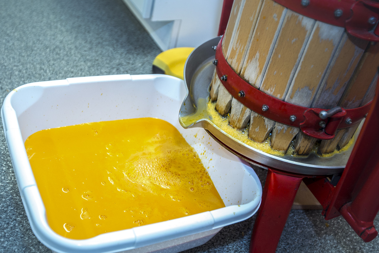 Tonnide viisi toormahla pressinud Ain Marran demonstreerib toormahla originaalset ja heledat oranži värvi, enne kui mahlale lisatakse vajalik suhkrukogus. Toormahl, mis läheb suurde anumasse, segatakse hiljem kokku suhkruga. Marran ütleb, et kellel kannatab, see võib mahla juua ka suhkruid lisamata. Fotod: AIGAR NAGEL Tonnide viisi toormahla pressinud Ain Marran demonstreerib toormahla originaalset ja heledat oranži värvi, enne kui mahlale lisatakse vajalik suhkrukogus. Toormahl, mis läheb suurde anumasse, segatakse hiljem kokku suhkruga. Marran ütleb, et kellel kannatab, see võib mahla juua ka suhkruid lisamata. Fotod: AIGAR NAGEL