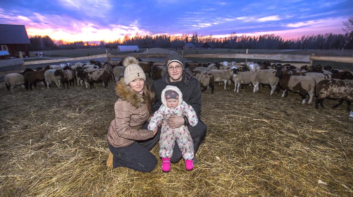 Rity-Marleen ja Vardo Valli rajasid Võrumaa metsade vahele oma esimese ühise maakodu, kus poniaretuse kõrval alustati hiljuti ka lambakasvatusega. Pildil on noored talunikud koos pisitütar Mia-Adrianaga ning selja taga äsja uue kodu leidnud Dorpertõugu lambad. Foto: AIGAR NAGEL