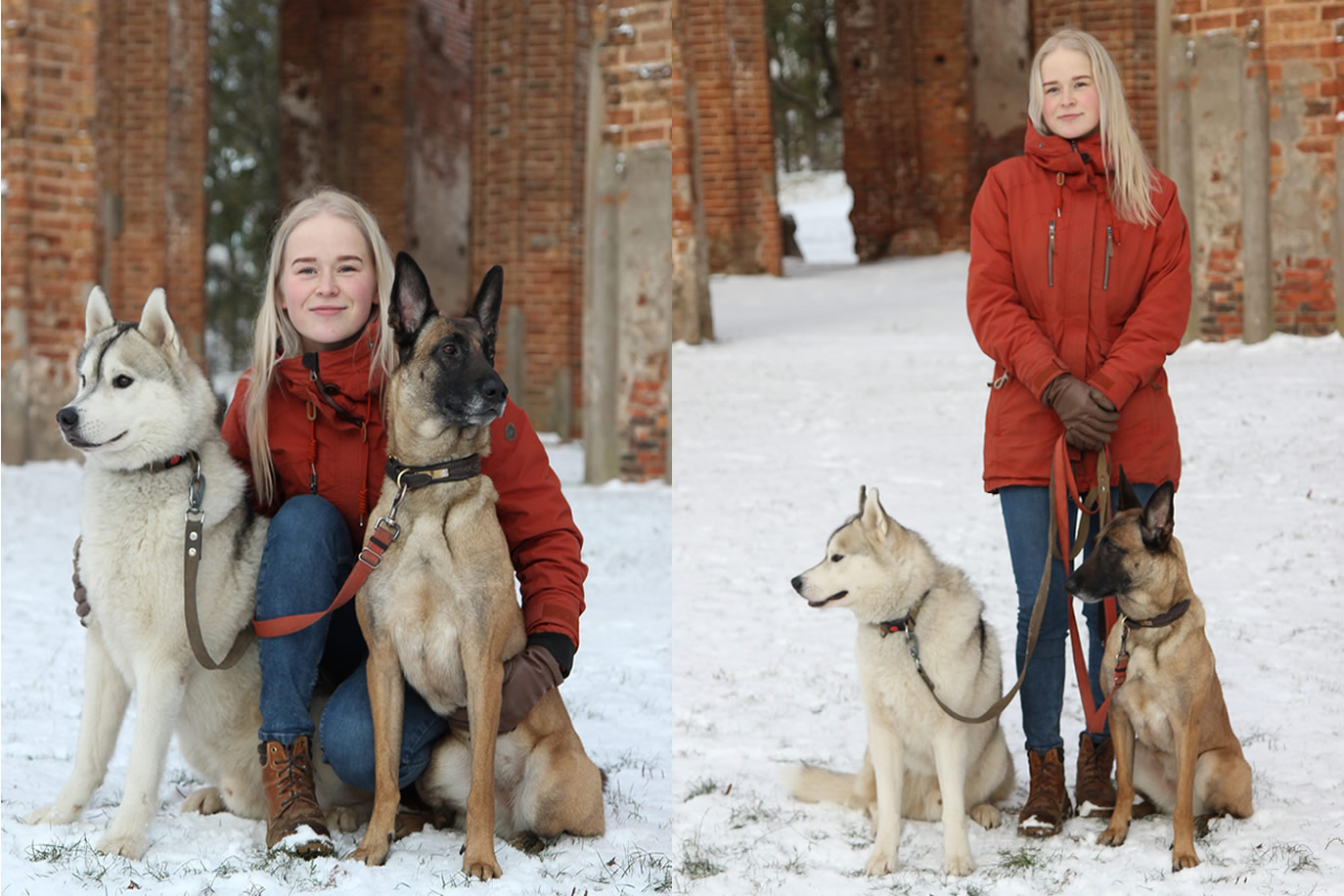 Gristel Aste koos oma kahe koera, siberi husky Yankeega ja belgia lambakoer Odiniga. Foto: BIRGIT PETTAI Gristel Aste koos oma kahe koera, siberi husky Yankeega ja belgia lambakoer Odiniga. Foto: BIRGIT PETTAI