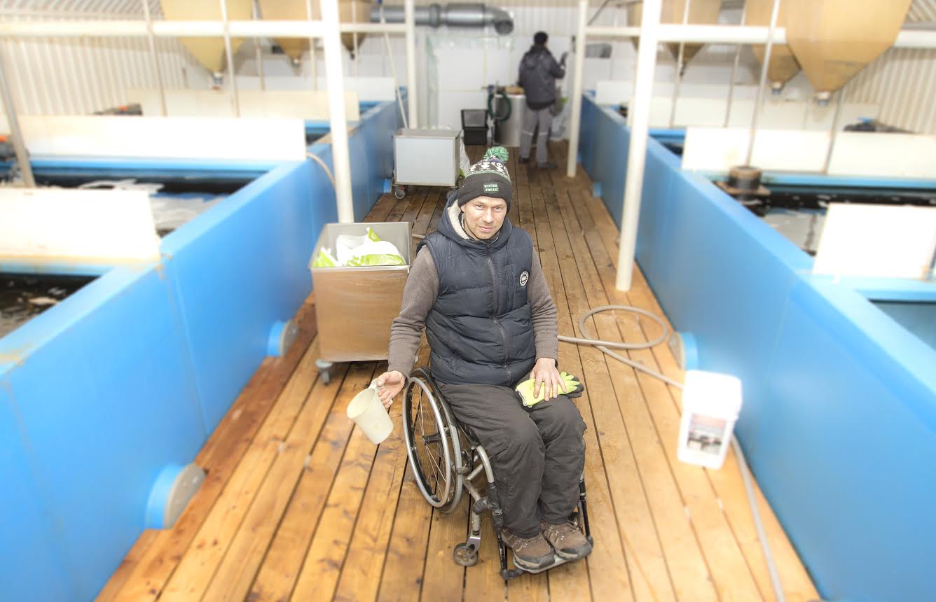 Paadi talu peremees ja endine krossisõitja Avo Leok on hingega viimased kümme aastat kalafarmi juures olnud ning mõningased tagasilöögid pole mehel tööisu ära võtnud. Umbes paari kuu pärast suudab ta nii tarnijatele kui ka kohalikele kalasõpradele taas värsket kala pakkuda. Foto: AIGAR NAGEL