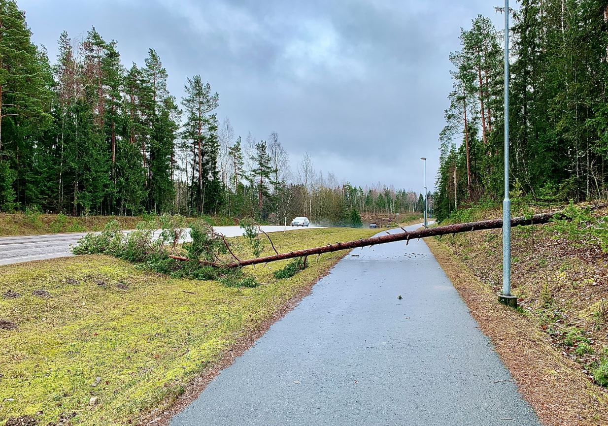 Haanja maantee ääres Puiga lähistel sulges tuul kergliikluse.