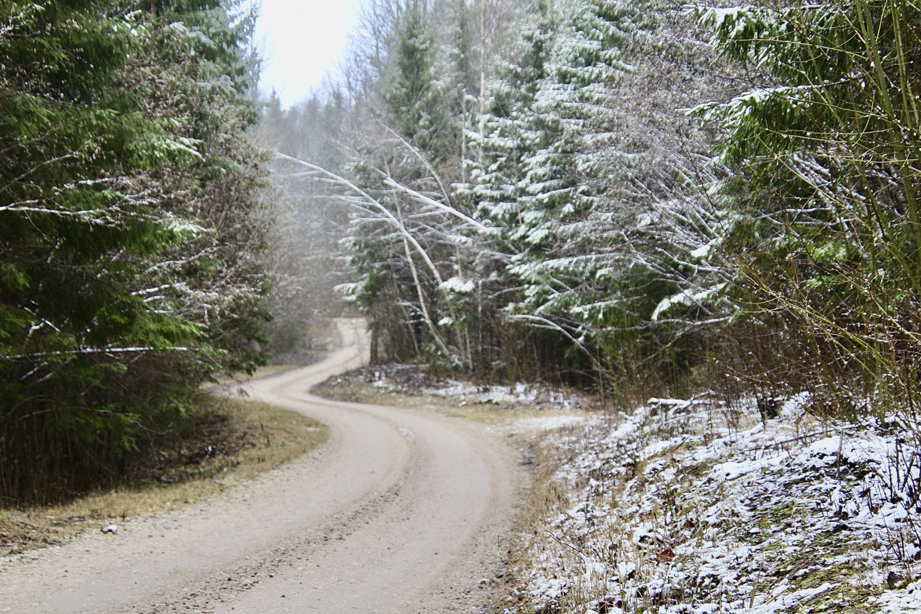 Haanja-Hallimäe metsatee 1. veebruari keskpäeval. FOTO: Kalev Annom Haanja-Hallimäe metsatee 1. veebruari keskpäeval. FOTO: Kalev Annom