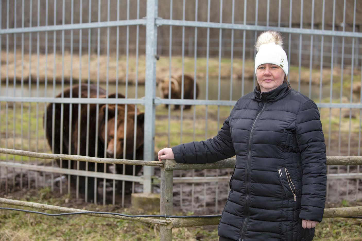 Alaveski loomapargi perenaine Ele Kõiv hoiab silma peal Harry (eespool) ja Mõmsiku müterdamisel. Foto: AIGAR NAGEL
