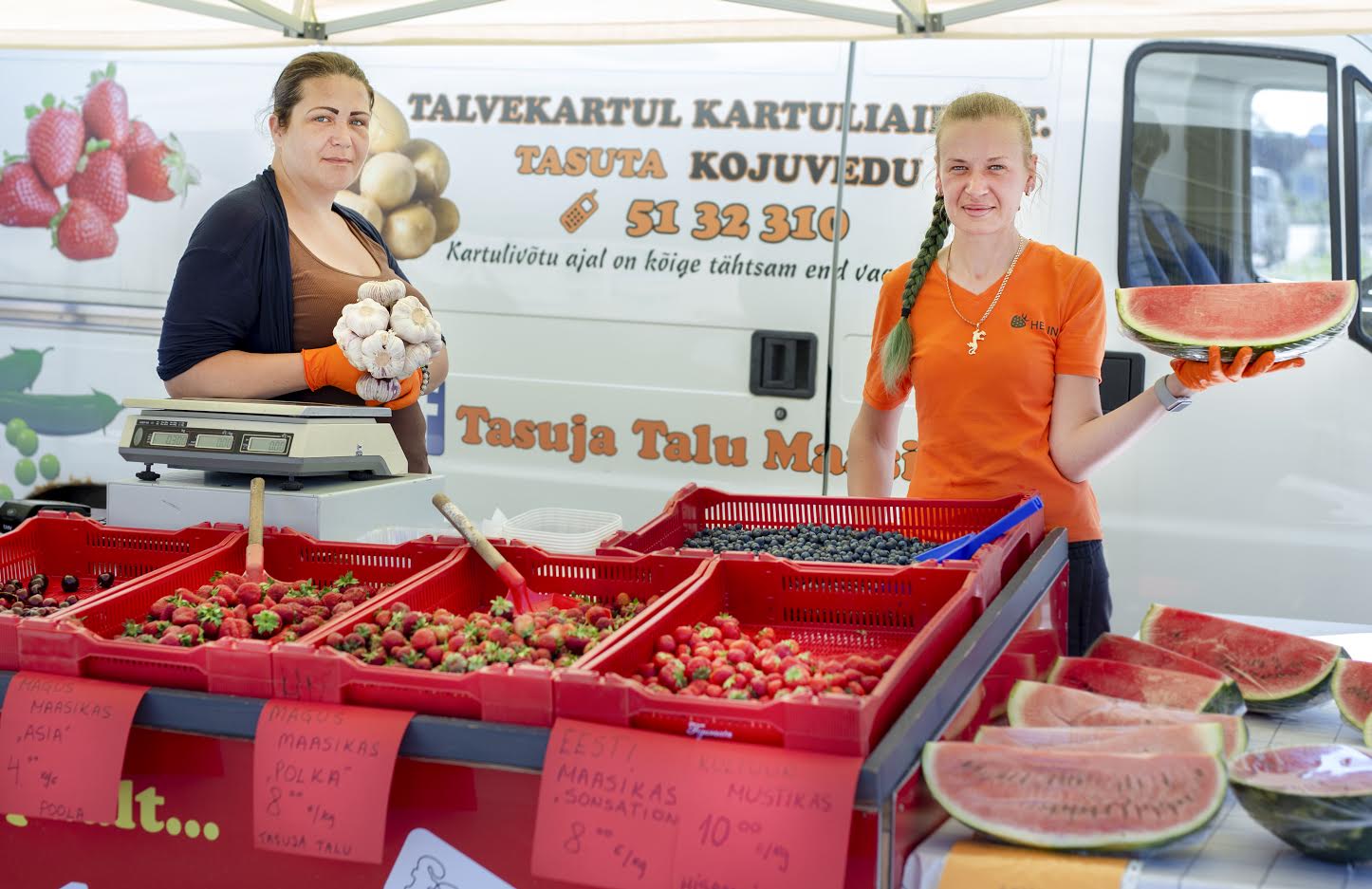 Tasuja talu peremehe Toomas Lillo sõnul müüakse hooajavälisel ajal importmaasikaid ning suvel enda kasvatatud maasikaid ja herneid. Veel päev enne võidupüha müüdi talutelgis viimast päeva välismaa maasikaid, pärast jaanipäeva pidi saama sealt osta endi kasvatatud avamaamaasikaid. Tasuja talu on maasikaid kasvatanud juba kaheksa aastat. Peremehe sõnul jälgitakse kaubaliikumisreegleid ja ostjaid teavitatakse alati marja päritolust. Foto: AIGAR NAGEL Tasuja talu peremehe Toomas Lillo sõnul müüakse hooajavälisel ajal importmaasikaid ning suvel enda kasvatatud maasikaid ja herneid. Veel päev enne võidupüha müüdi talutelgis viimast päeva välismaa maasikaid, pärast jaanipäeva pidi saama sealt osta endi kasvatatud avamaamaasikaid. Tasuja talu on maasikaid kasvatanud juba kaheksa aastat. Peremehe sõnul jälgitakse kaubaliikumisreegleid ja ostjaid teavitatakse alati marja päritolust. Foto: AIGAR NAGEL