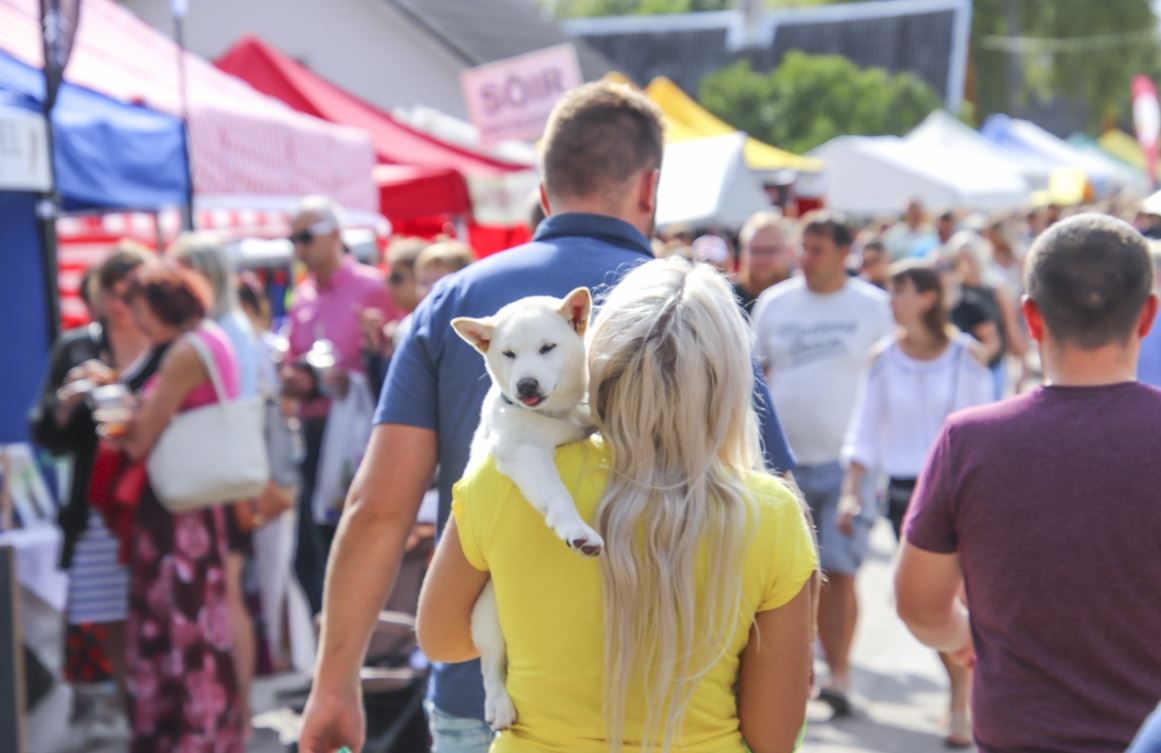 Augustikuus sõidab laadapealinna rahvast kokku üle kogu Eesti. Nii ka möödunud aastal, mil laadatänavad täitusid rahvamassidega. Foto: AIGAR NAGEL