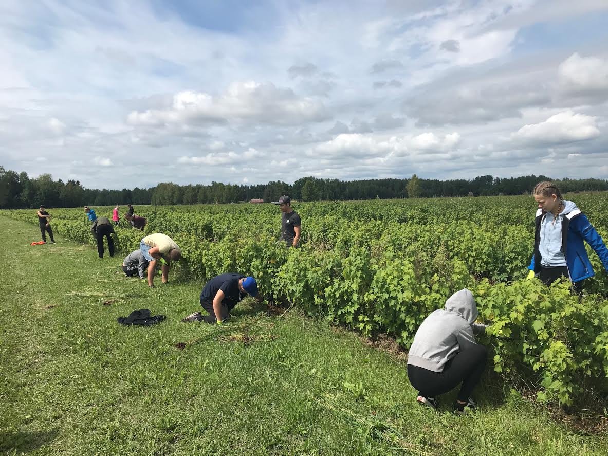 Hetk eelmise aasta Rõuge valla noorte malevasuvest. Foto: RÕUGE NOORSOOTÖÖ KESKUS Hetk eelmise aasta Rõuge valla noorte malevasuvest. Foto: RÕUGE NOORSOOTÖÖ KESKUS