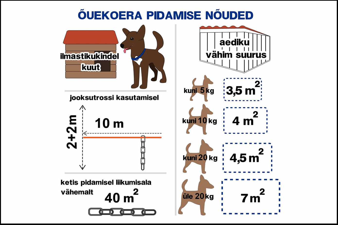 Veterinaar- ja Toiduamet