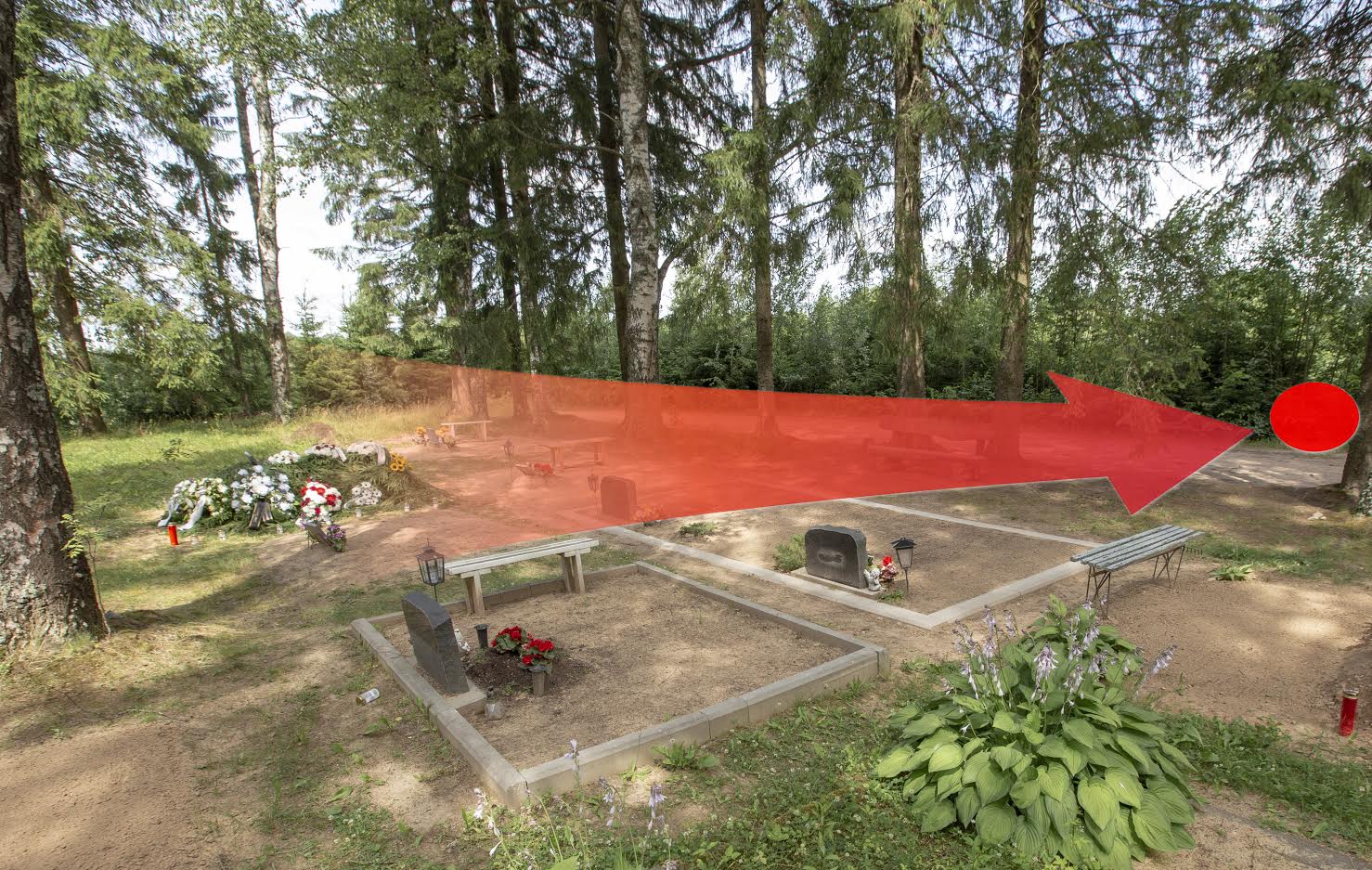 Lõhkekeha viidi pärast hauast väljakaevamist paarikümne meetri kaugusel asuvasse põõsasse, mis on pildil noolega tähistatud. Foto: AIGAR NAGEL