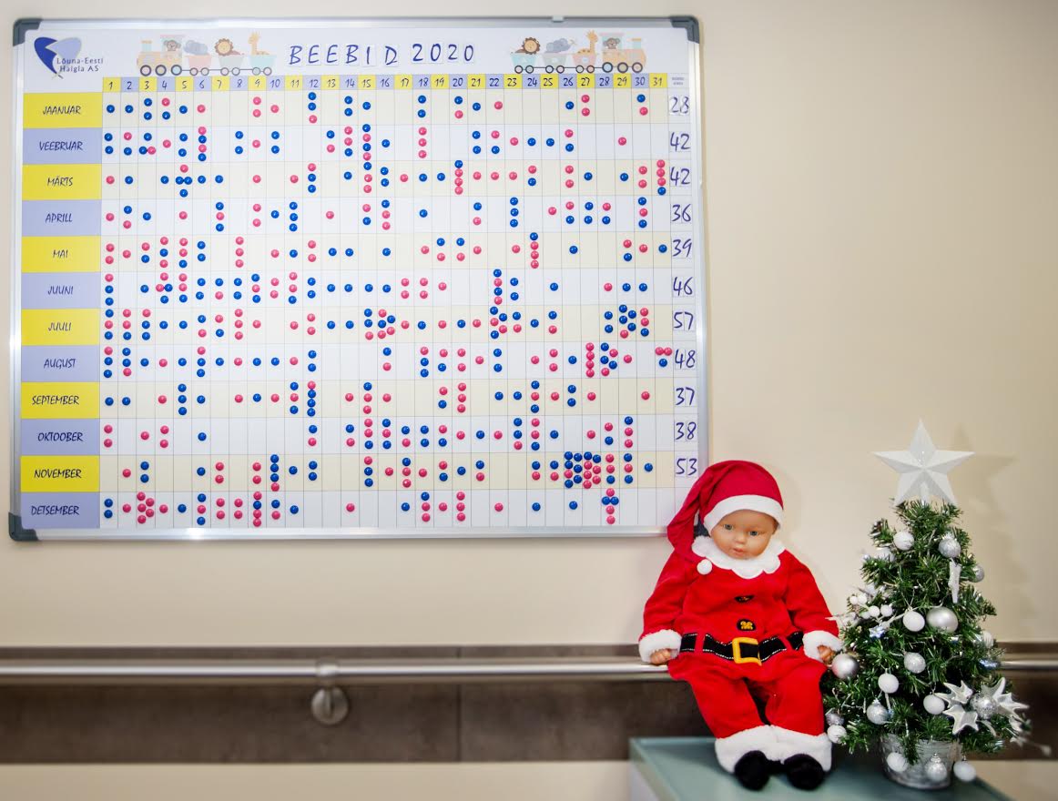 Sündide tabelile on detsembri lõpuks kogunenud pisut üle 500 täpikese, mis tähendab, et aasta on haiglale olnud sündide poolest väga hea. Foto: AIGAR NAGEL
