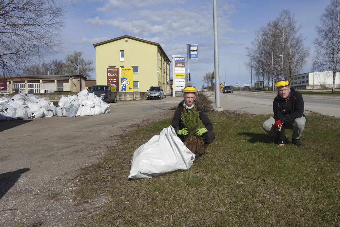 Kõiki ohutusnõudeid täites aitas istikuid jagada Kristjan Sok, kes tutvustas pott-põldmeetodil kasvatatud kuuseistikuid. Abis oli ka Luua metsakoolis õppiv ning Võrumaa metsaühistus praktikal olev Mihkel Märtin. Foto: ERKI SOK