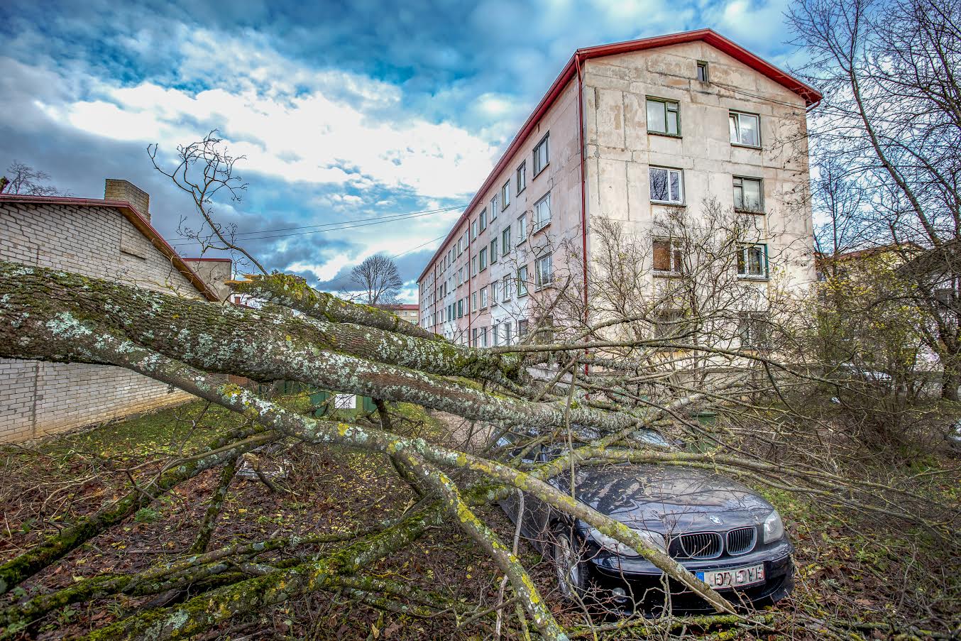 Möödunud aasta oktoobritormi tuuled tekitasid peale elektri kadumise kahju ka neljarattalistele. Foto: AIGAR NAGEL