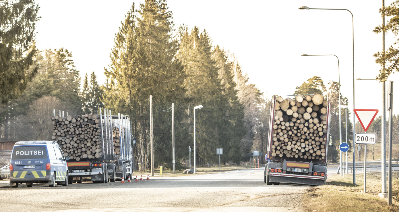 Kohalikud on mures metsa hoogsa langetamise pärast Haanjas FOTO: Aigar Nagel