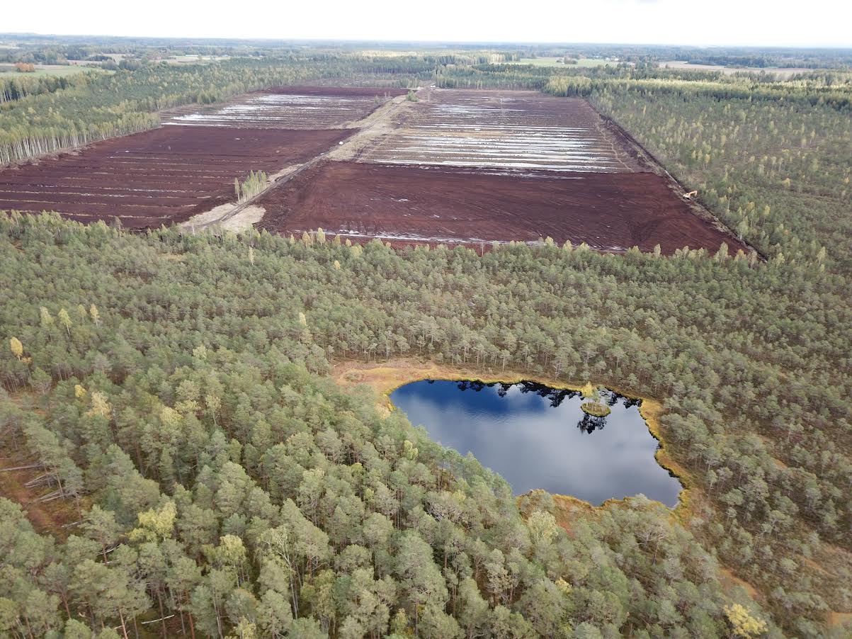 Freesturbaala Ess-soos, kuhu hakatakse turbasammalt külvama. Foto Priit Voolaid. 