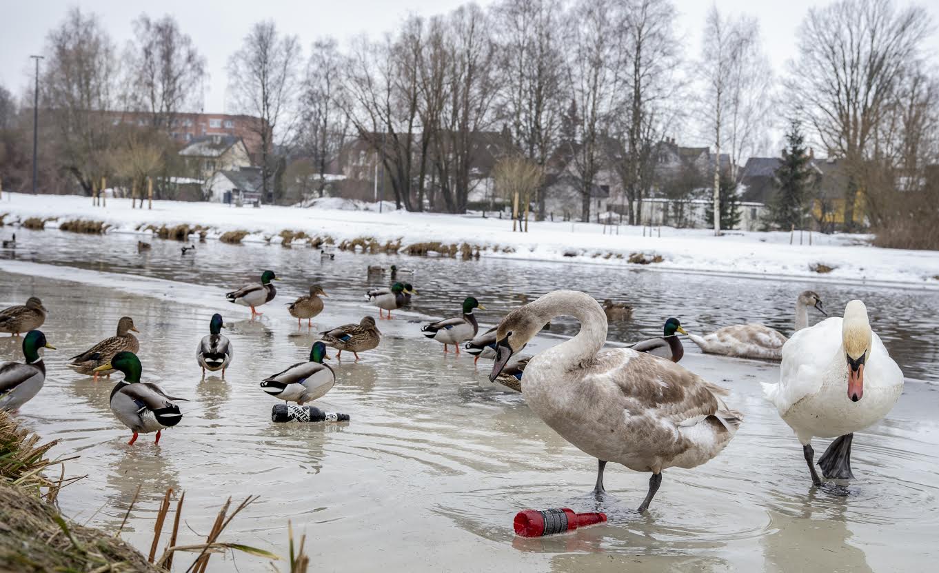 FOTO: Aigar Nagel