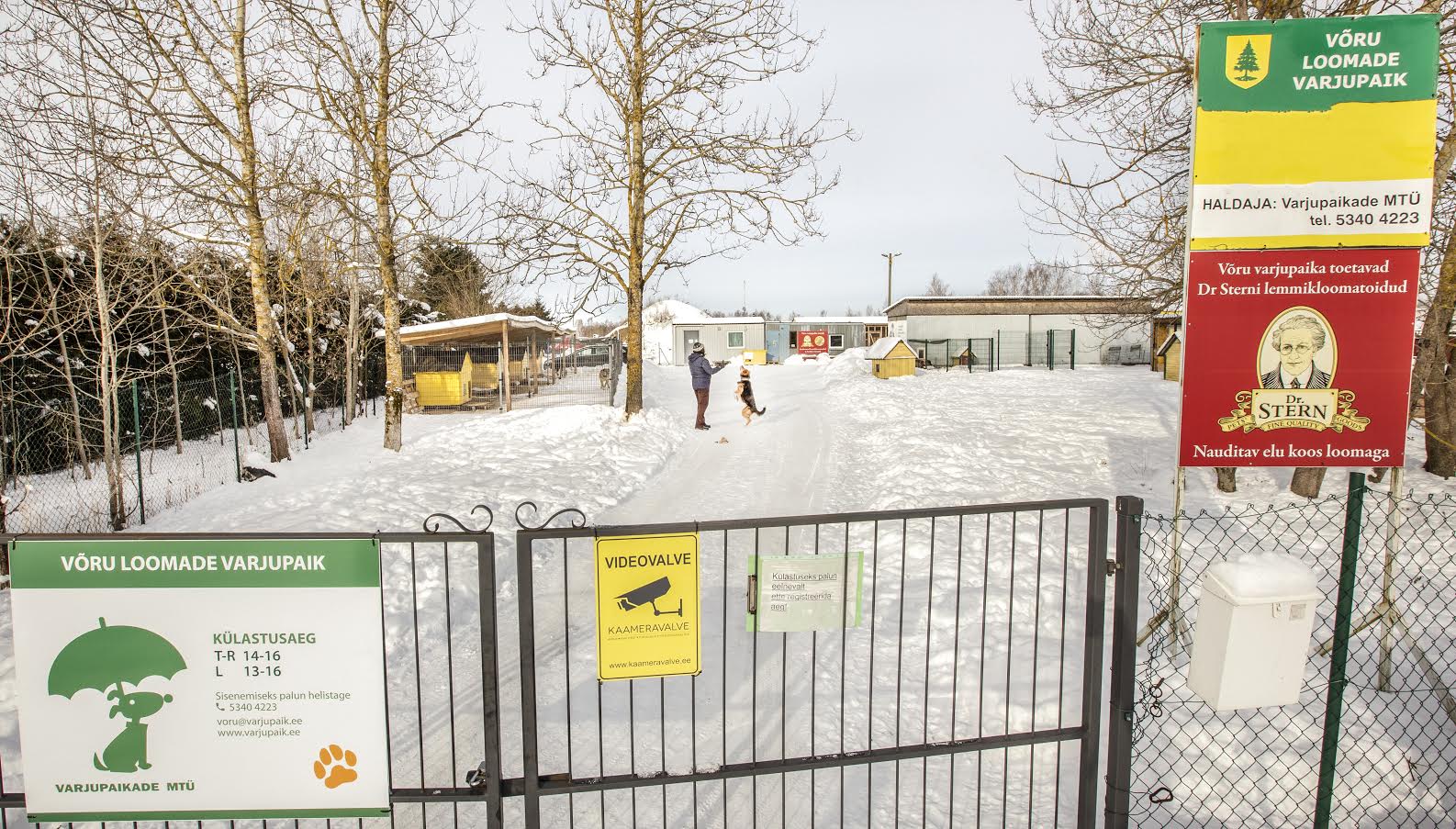 Võru loomade varjupaik pakub nõuetekohast ulualust nii koertele kui ka kassidele oma omaniku juurde naasmiseni või uue kodu leidmiseni. Foto: AIGAR NAGEL