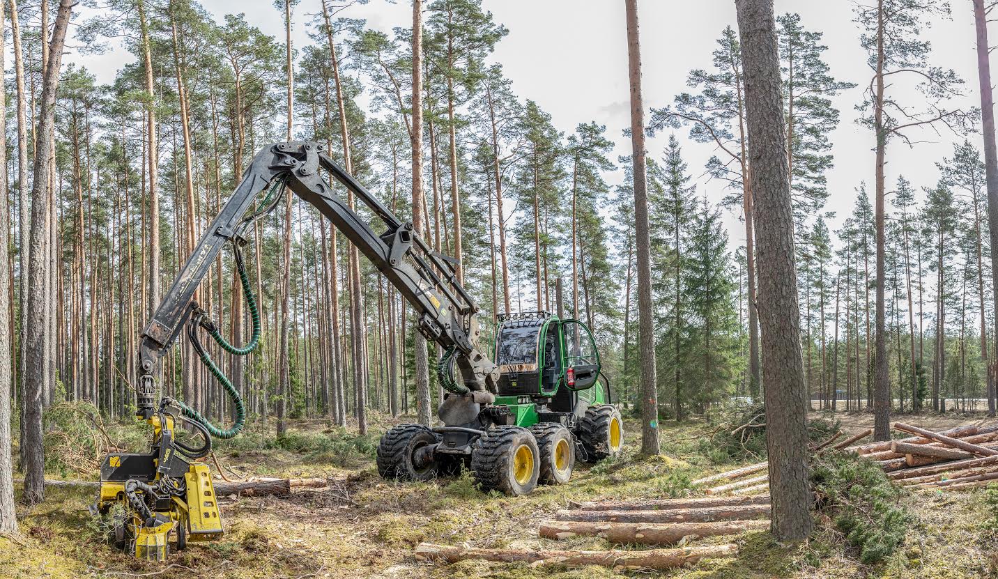 Eile tehti Lindoral raietöid ligi pool miljonit eurot maksva masinaga. Langetustraktori operaator kinnitas, et kiiremal perioodil on hinnaline masin ööpäev läbi tööl, et enda hinda tagasi teenida. Foto: AIGAR NAGEL