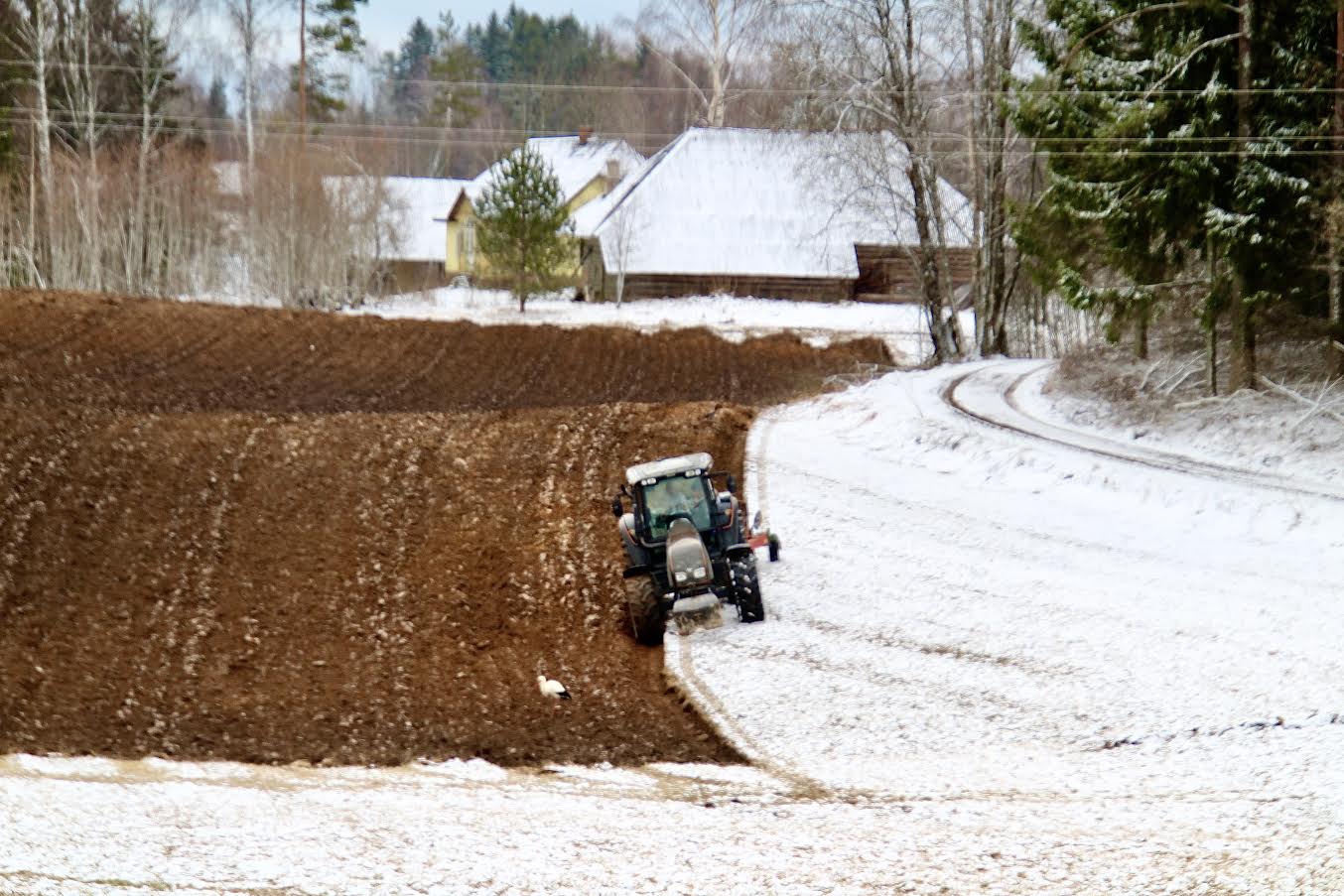 Kevadkünd 6. aprillil Tsiistre kandis Misso lähistel. Valge täpp traktori ees on toonekurg. Foto: KALEV ANNOM