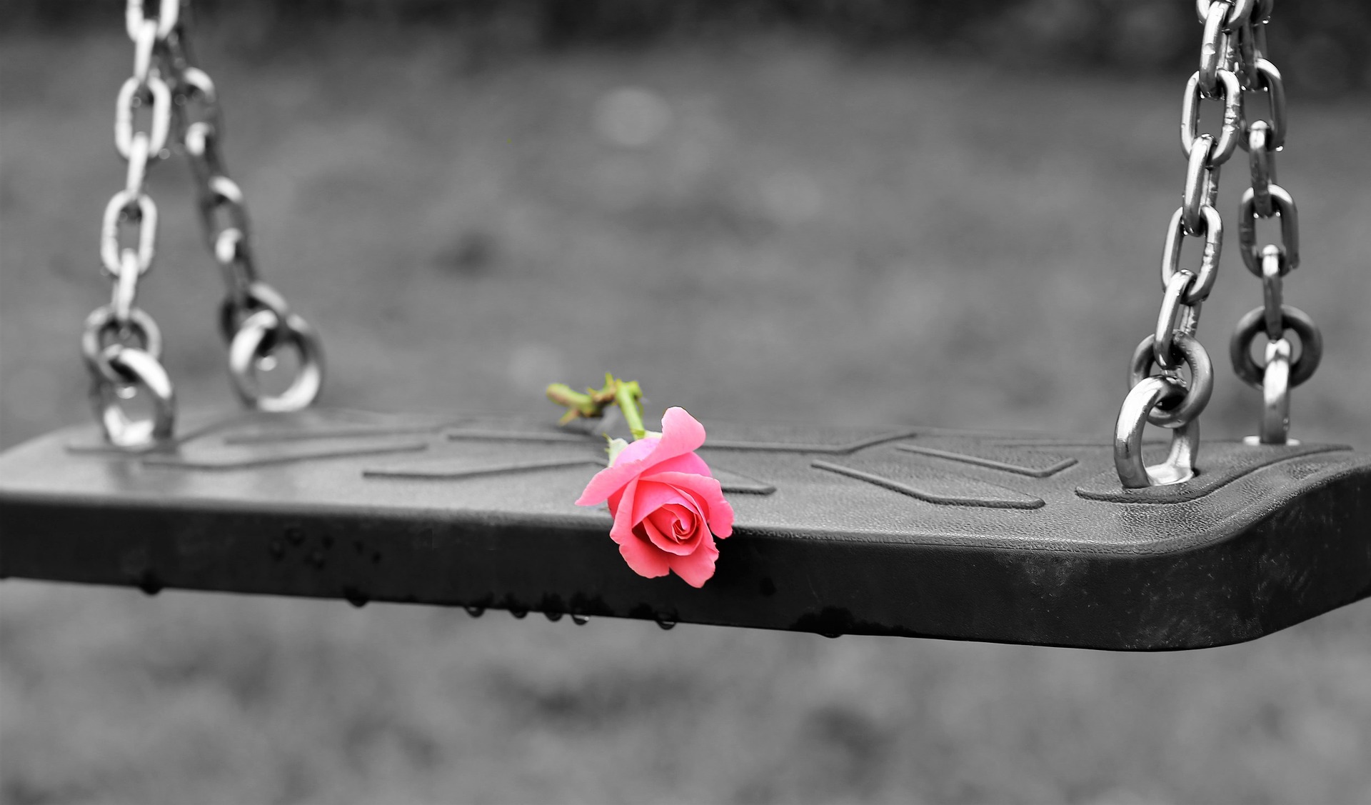 FOTO: pixabay