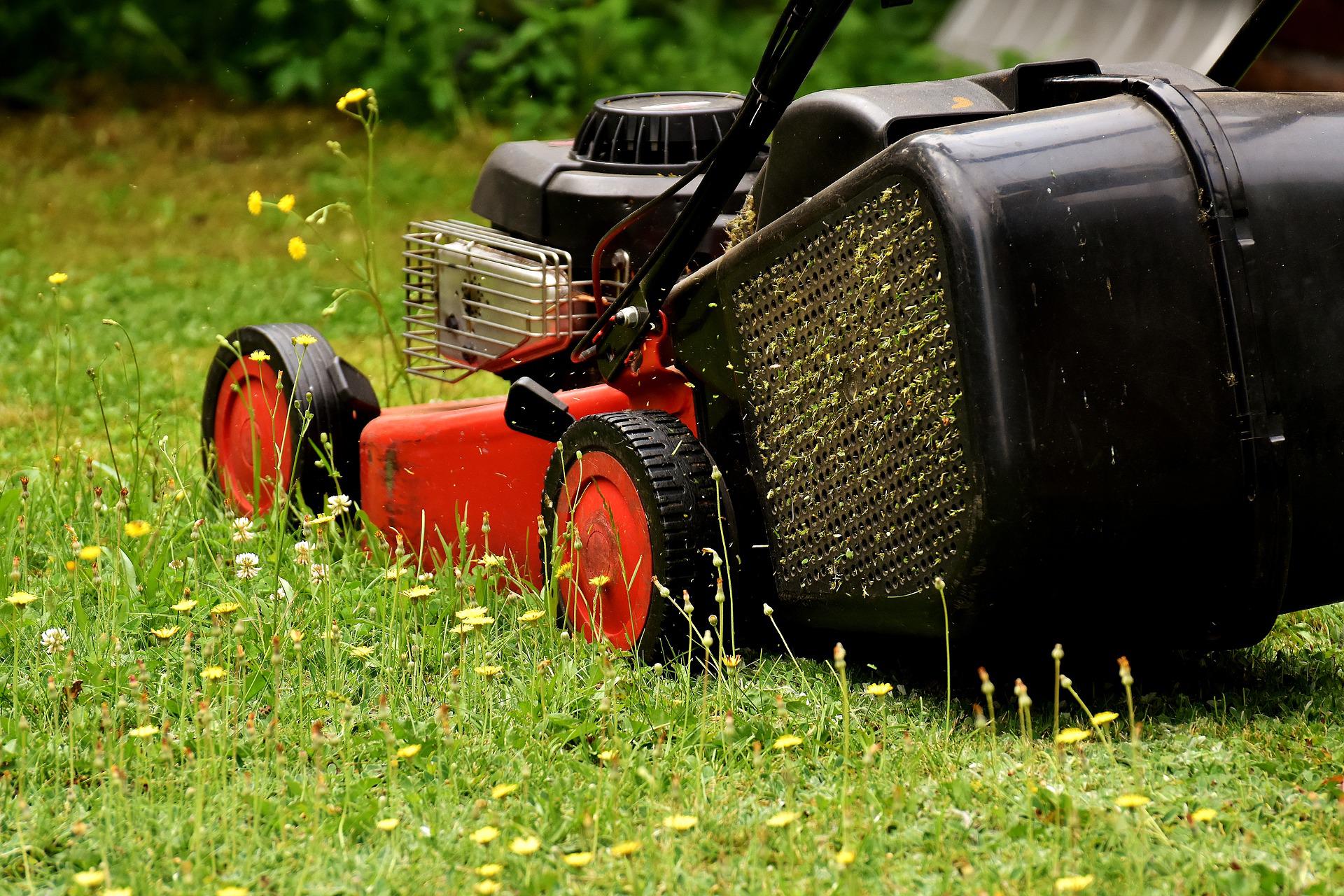 Muruniidukite purunemiste üllatav põhjus: õli unustatakse lisada FOTO: pixabay