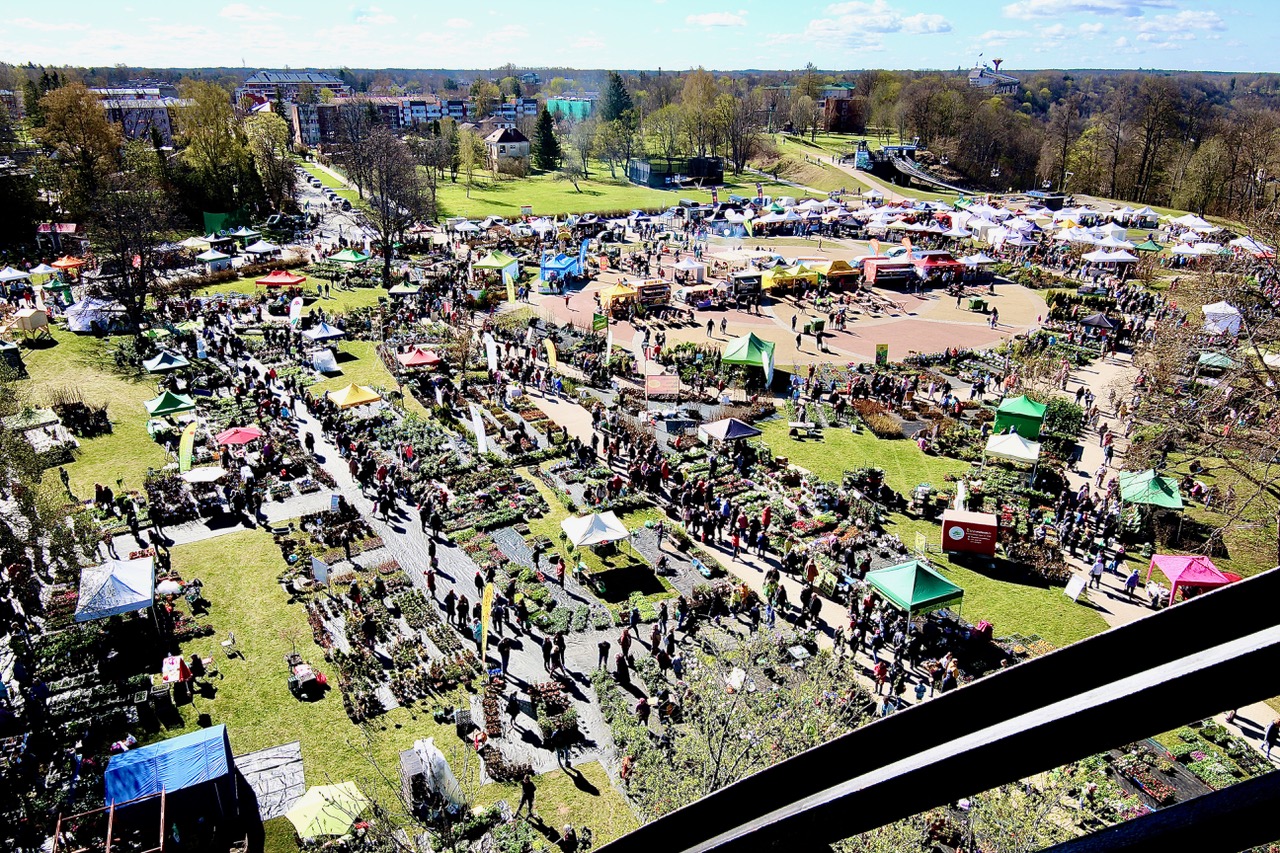 Vaade Sigulda Taimeparaadile 42 aastat tagasi püstitatud vaaterattalt. Ka Võrus oli selline vaateratas Vee tänava ääres, kuid see demonteeriti, sest samasse oli kavas hotell ehitada. Fotod: KALEV ANNOM