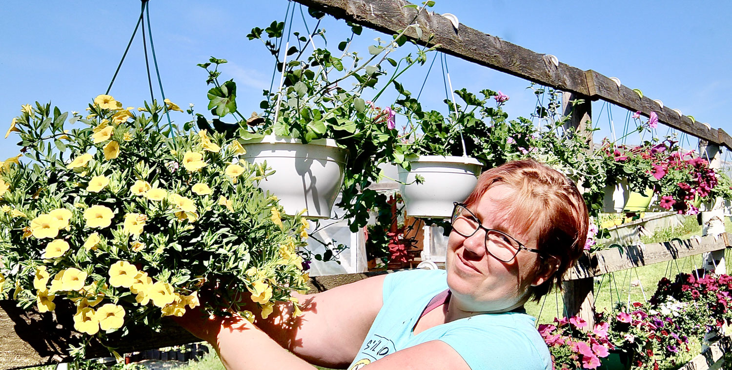 Elgita Kenderil on lillede all umbes  250 ruutmeetrit, peale selle tomatid-kurgid  ja hobi korras ka lihaveised Foto: KALEV ANNOM