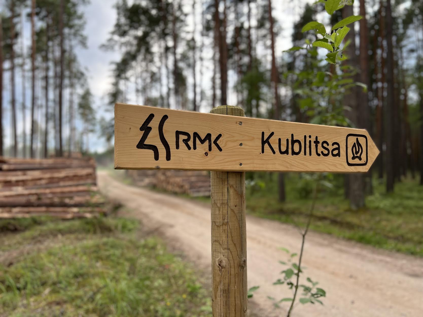 20. juulil alustati selle kandi ühe populaarseima lõkkepaiga läheduses raietöid, mis peaks lõppema hiljemalt 28. juulil. Foto: VÕRUMAA TEATAJA