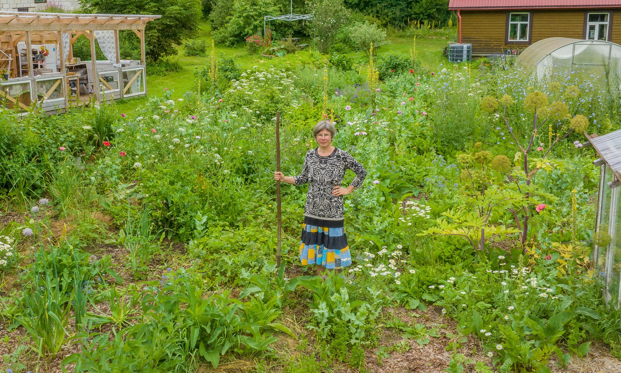 Vastseliina permakultuuri aia pidaja Triinu Guerrini kogemus näitab, et täitsa heina täis kasvanud maale permapeenra rajamisel ei ole lihtsalt pappide ja põhuga katmisest palju kasu. Vaja on kas labida või traktori abi ning põhjalikku umbrohujuurte ärakorjamist. Fotod: AIGAR NAGEL