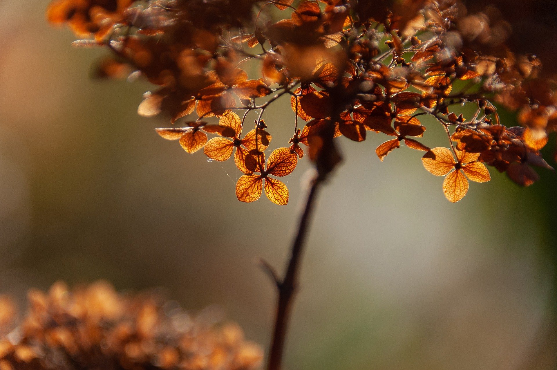 November kujunes paljude aastate keskmisest veidi soojemaks