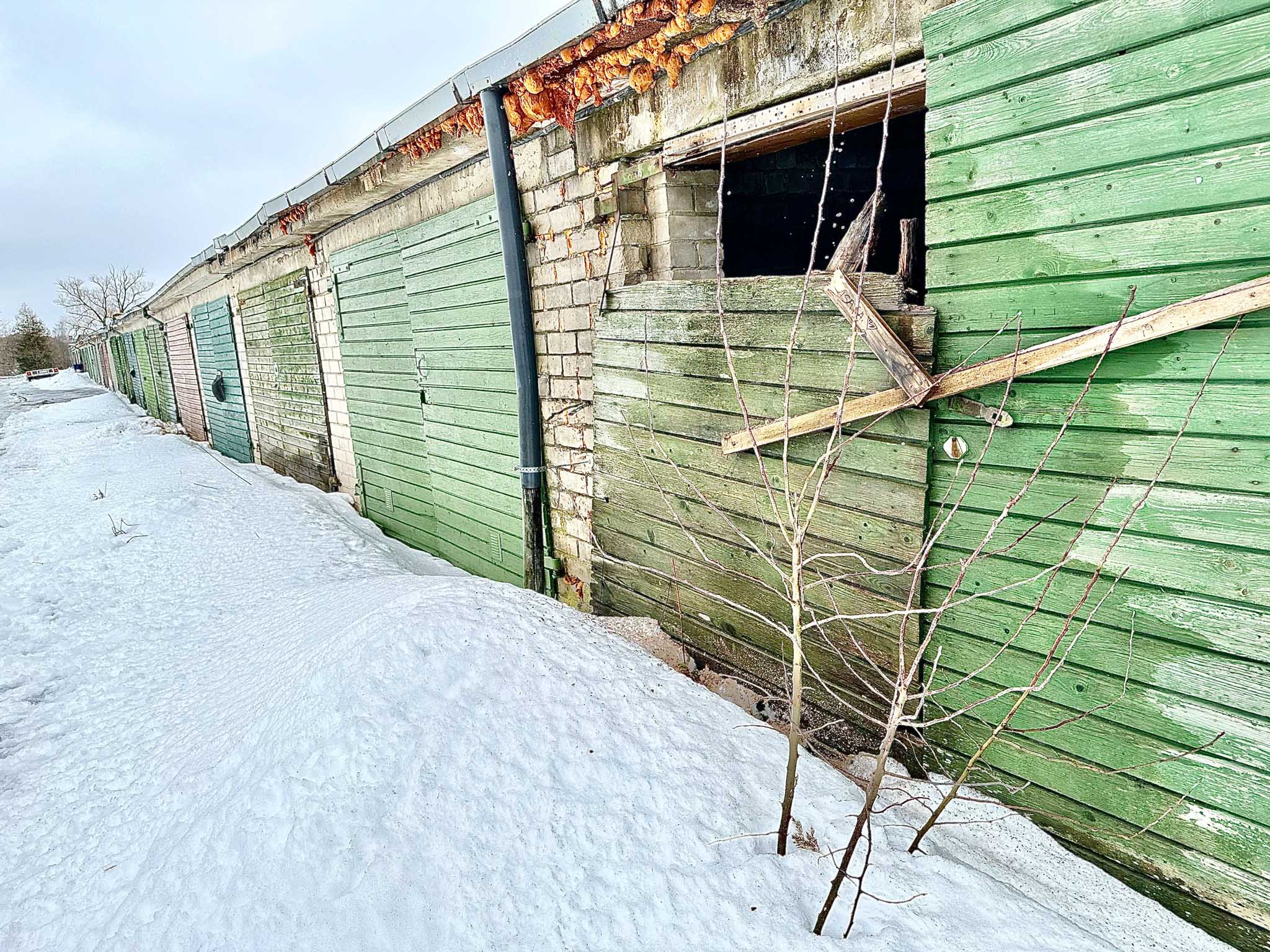 Näide ühest Roosi tänava garaažist, mille ees on  isegi puukesed kasvama  hakanud. Fotod: KALEV ANNOM