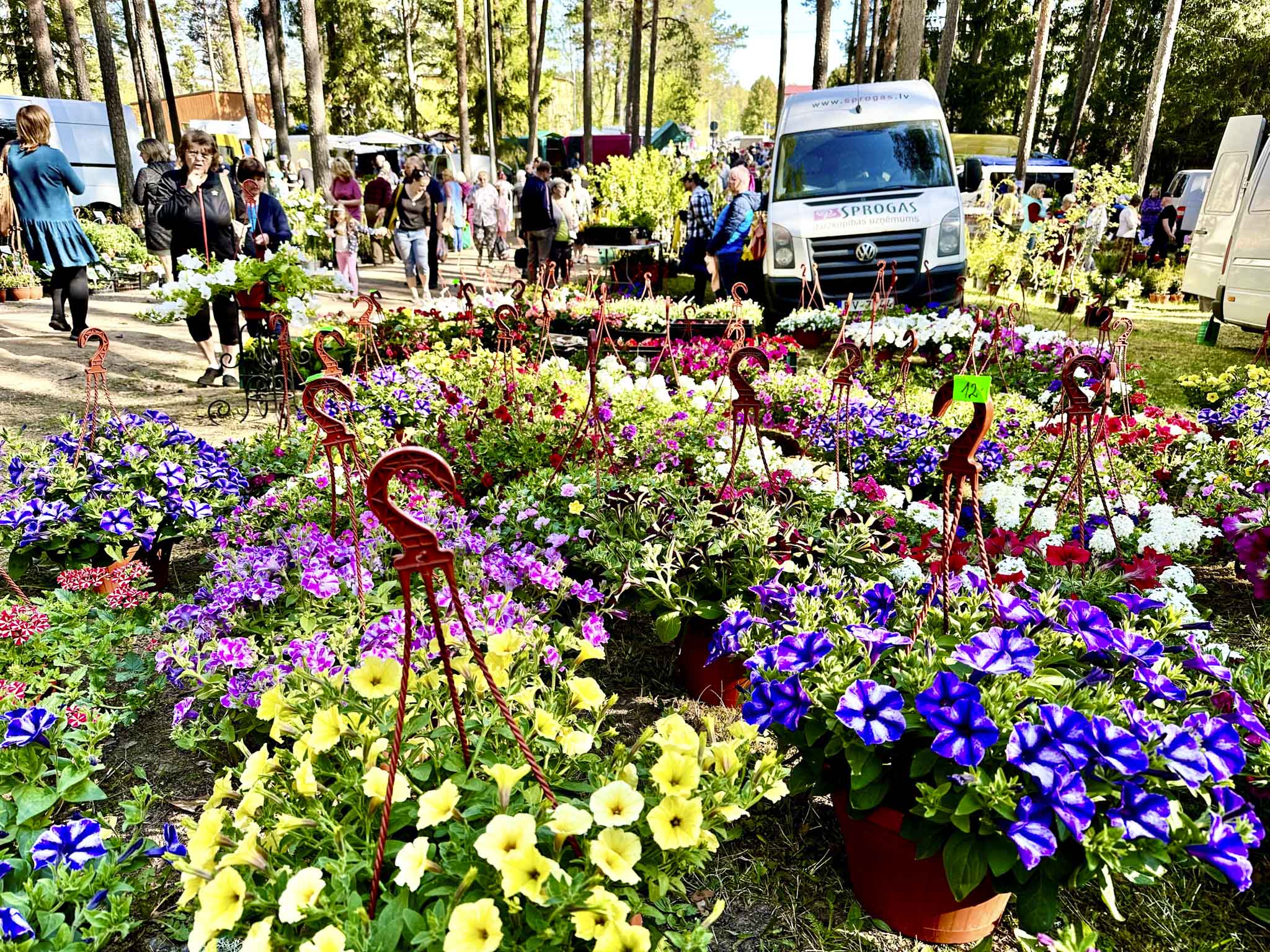 Lilled, lilled ja sellele kõigele lisas oma osa päike ja soe kevadilm. FOTO: Kalev Annom