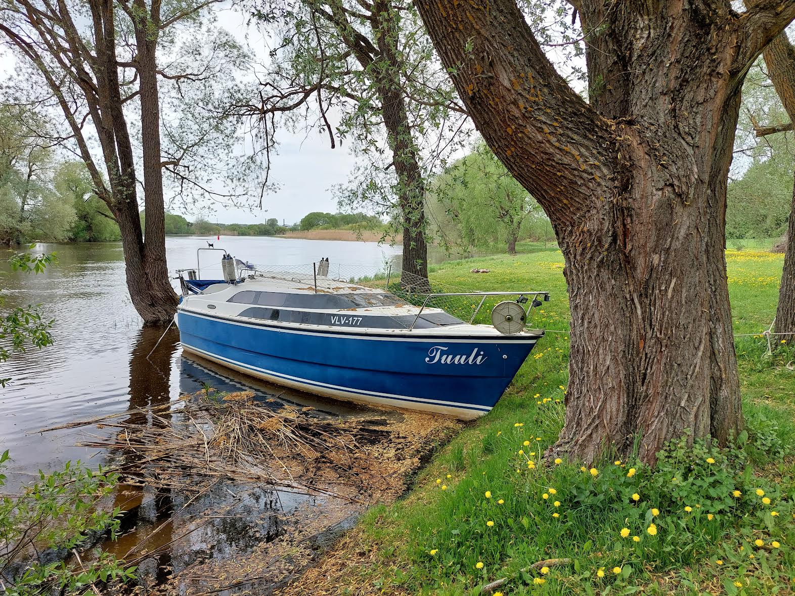 Veekogudel silmab nii kiiremalt  kui ka aeglasemalt liikuvaid väikelaevu, mõni neist ootab truult oma  omanikku puu külge seotuna.  Fotod: STEN SANG