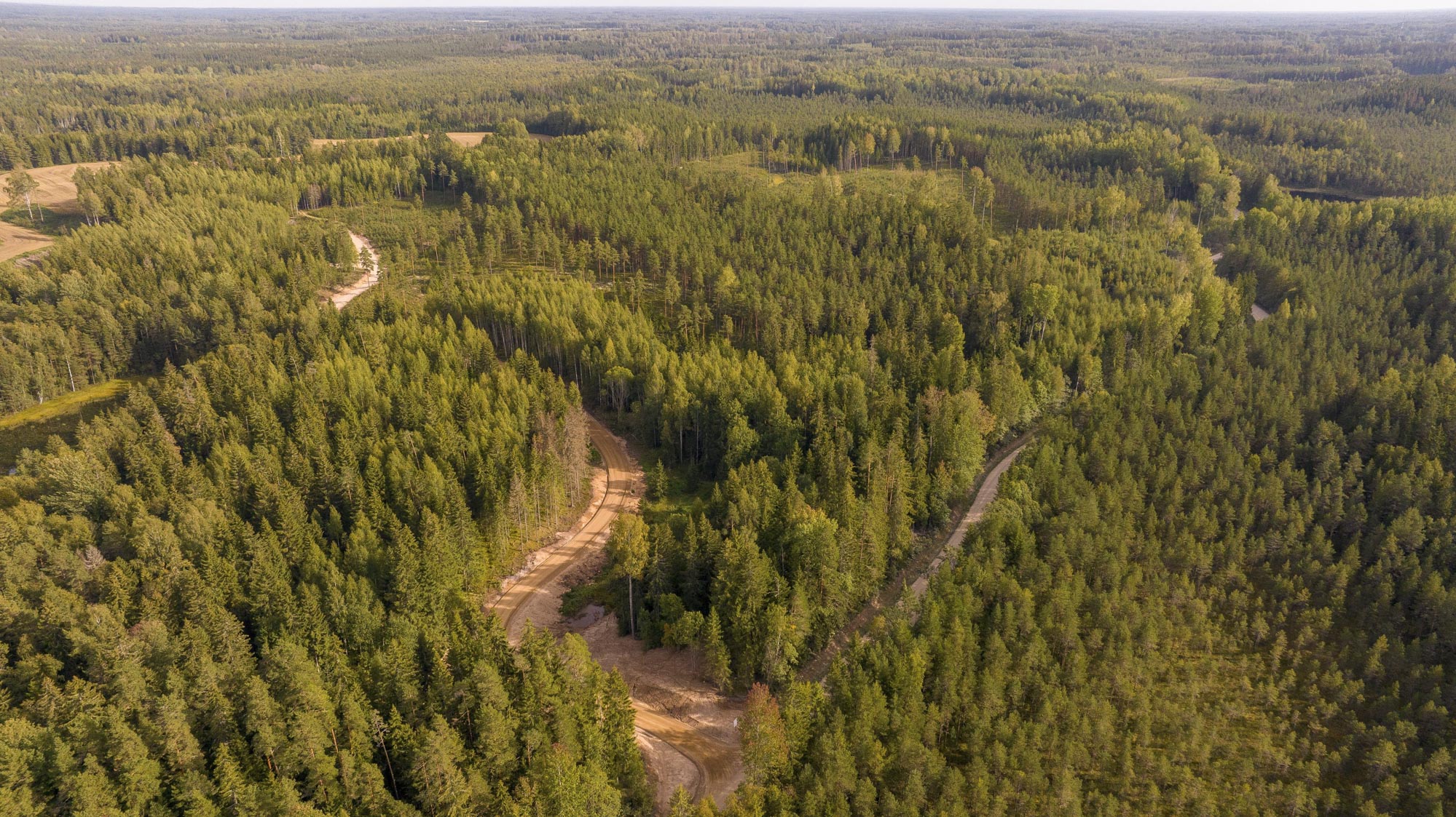 RMK ehitab Võrumaal riigiteelt mahasõite, et oleks turvaline metsamasinatel puid laadida. Foto: AIGAR NAGEL
