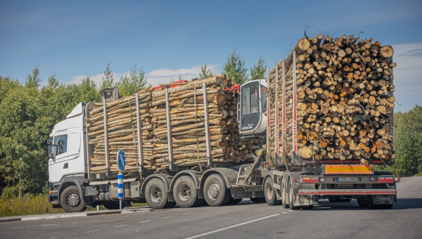 Leht: käputäis ettevõtteid sai RMK käest «kingiks» üle 40 miljoni