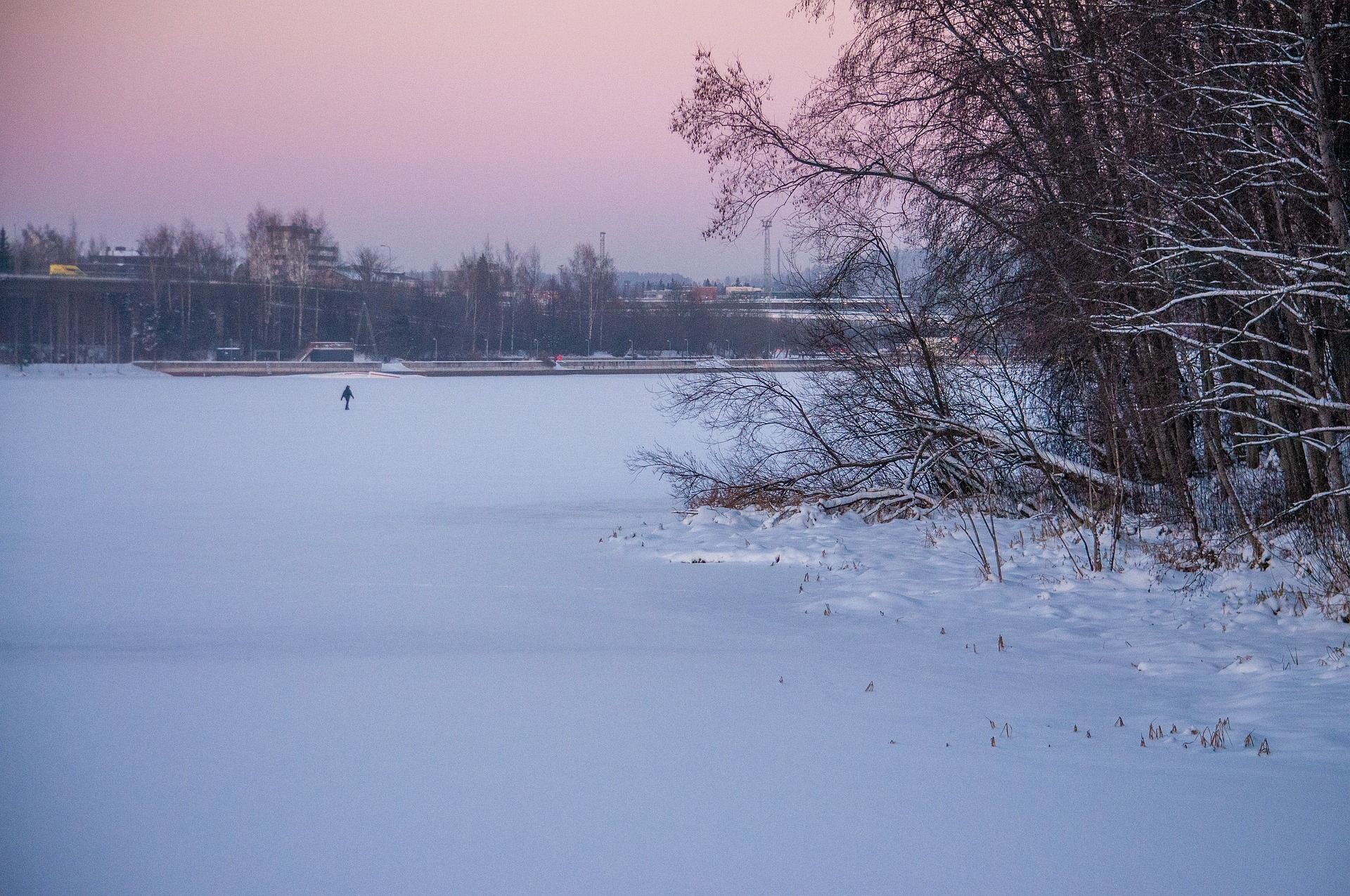 Saadjärve lastud klaasangerjaid ootas jäises vees surm. Foto on illustratiivne