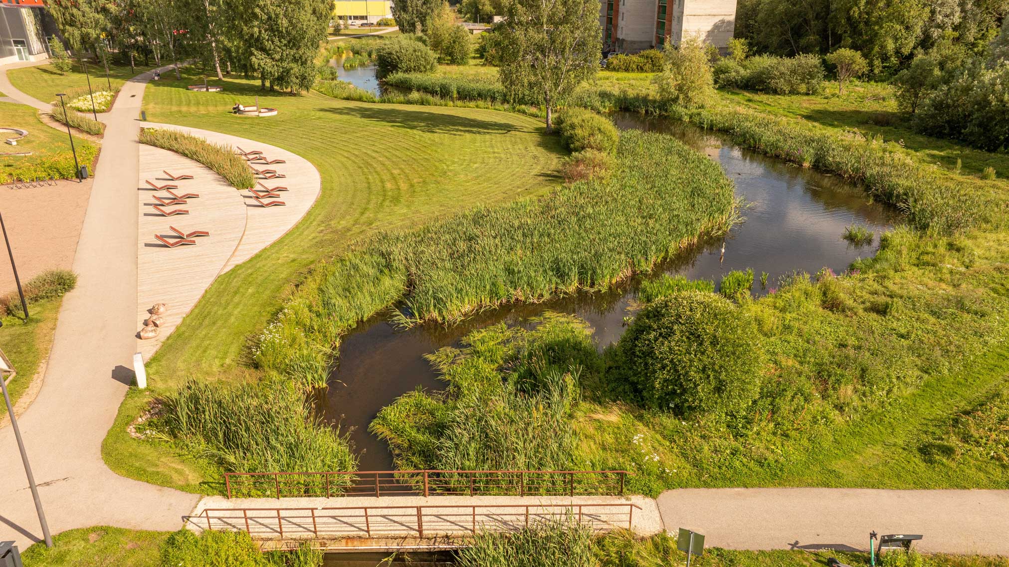Suvisel ajal lisandub Koreli oja kallastele lopsakamat taimestikku. See on aga kasulik ojale endale ja mokkamööda seal siblivale saarmapoisile. Fotod: AIGAR NAGEL