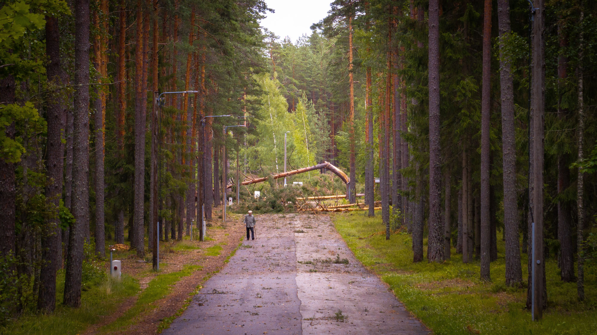 FOTOD: Aigar Nagel