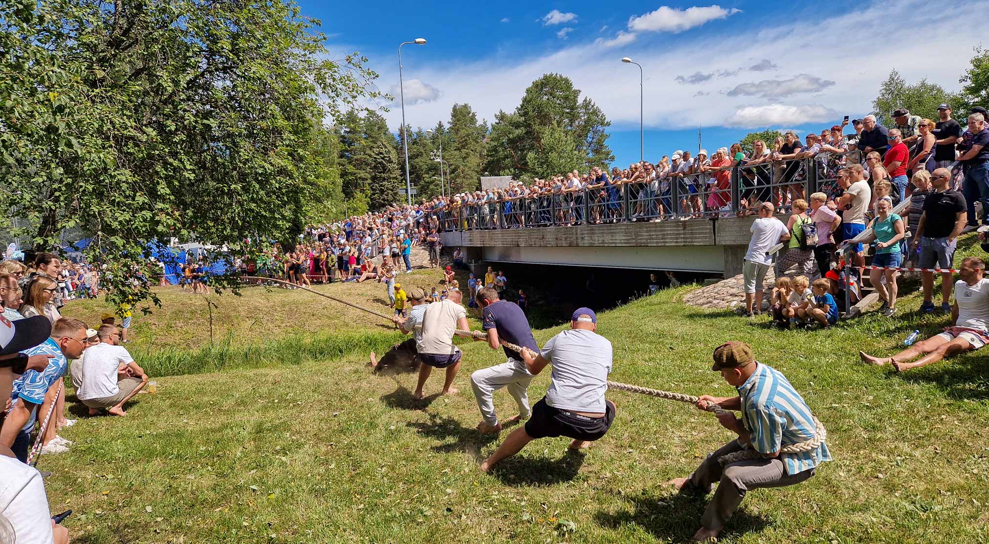 Traditsiooniline köievedu köitis nii osalejaid kui ka pealtvaatajaid. FOTO: Aigar Nagel
