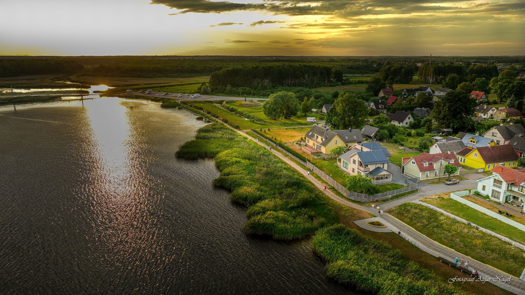 Võru Tamula randa rajatava tehispalmi allee ehitab OÜ Tehispalmid FOTO: Aigar Nagel