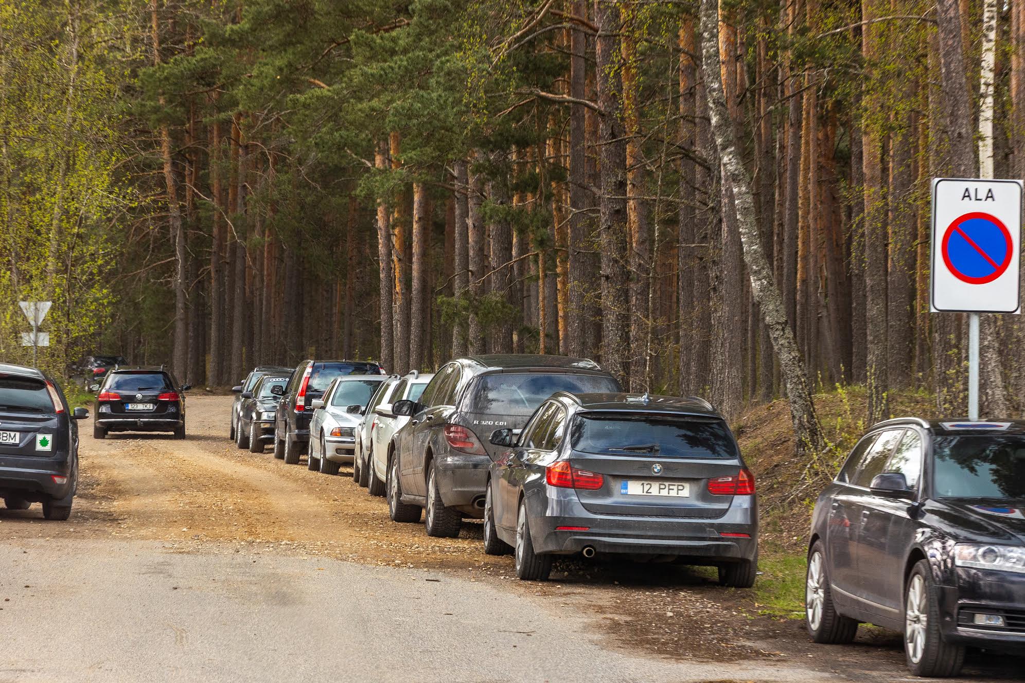 Sõidukid pargivad kitsa metsatee äärtesse keelumärkidest hoolimata. FOTO: Aigar Nagel