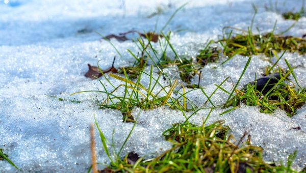 Mai osutus keskmisest jahedamaks