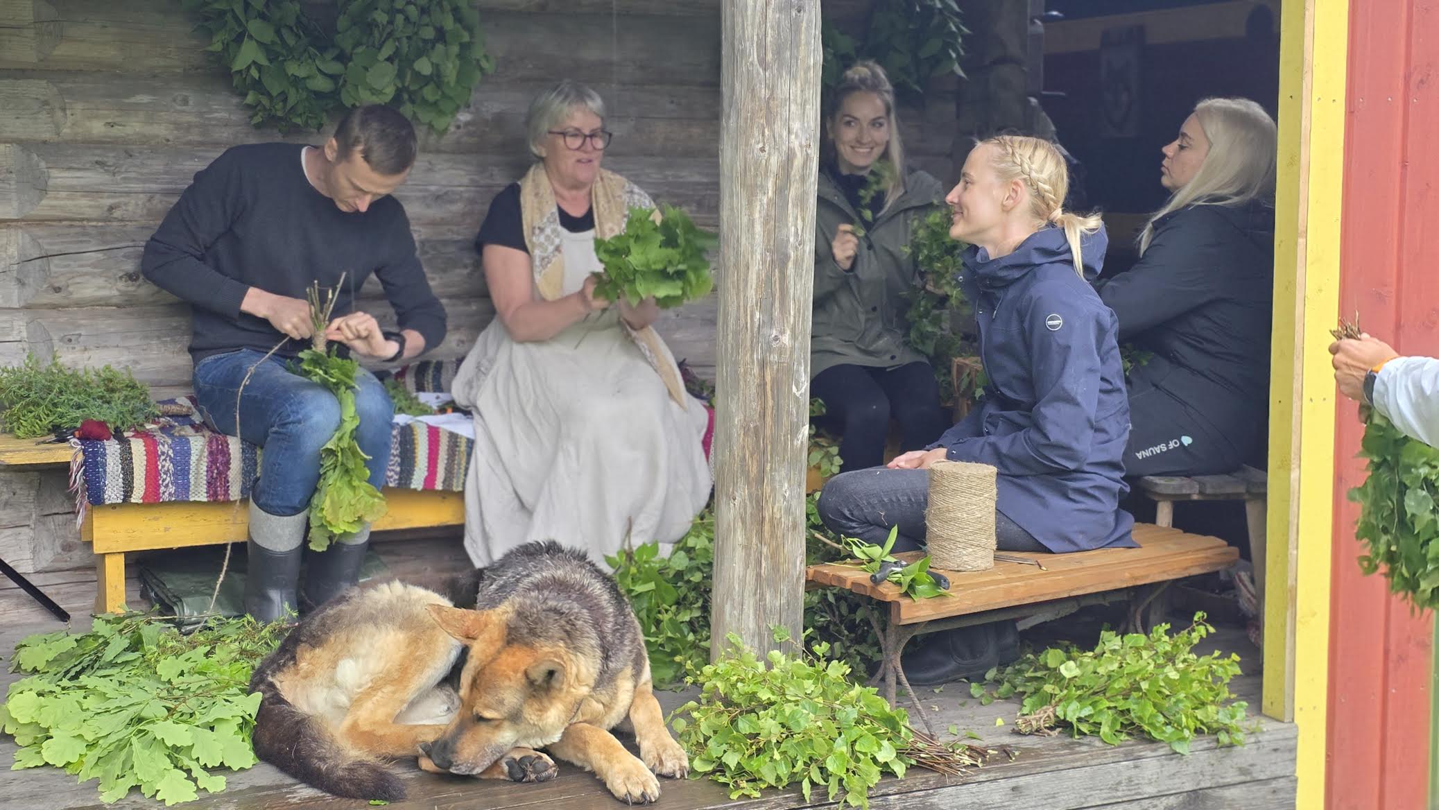 Mooska talu perenaine Eda Veeroja näitamas huvilistele saunaviha valmistamist. Fotod: HEIKO TEERN