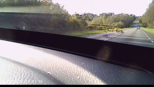 Tagaotsitav puuma jäi Põlvamaal pardakaamerasse