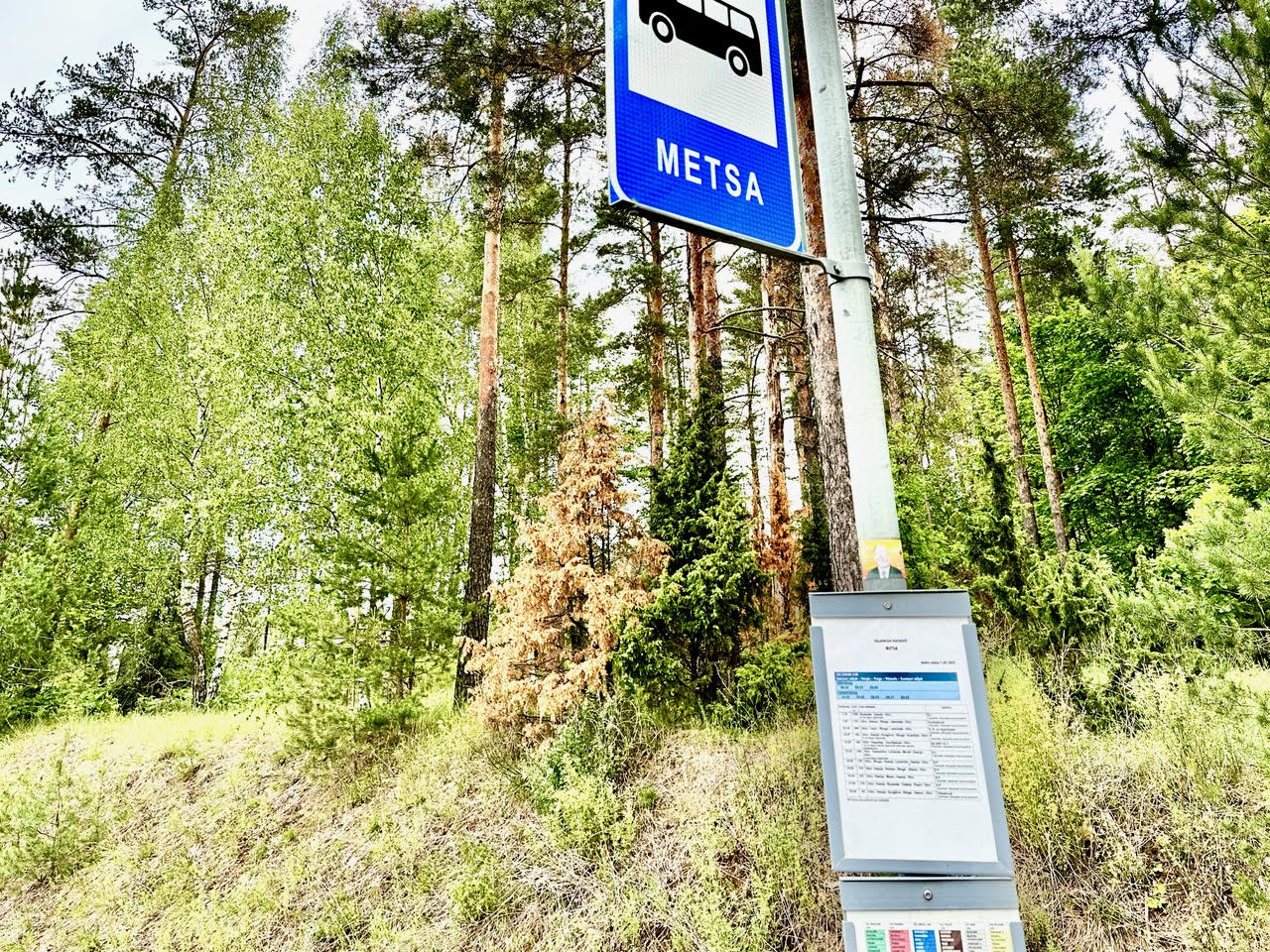 Mets on alati valmis peatuseks, aruteluks ja pika plaani pidamiseks. Foto: Kalev Annom