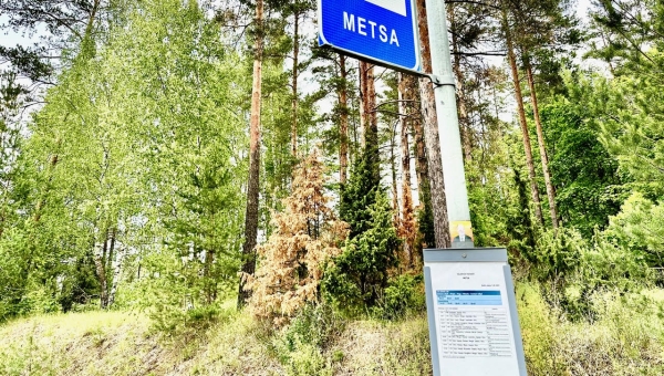 Lageraie võimalus Natura alal on poolel hektaril