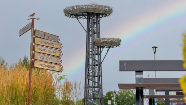 Rõuge köidab oma kauni looduse ning elukeskkonnaga. Fotol Pesapuu vaatetorn Ööbikuorus. Foto: AIGAR NAGEL