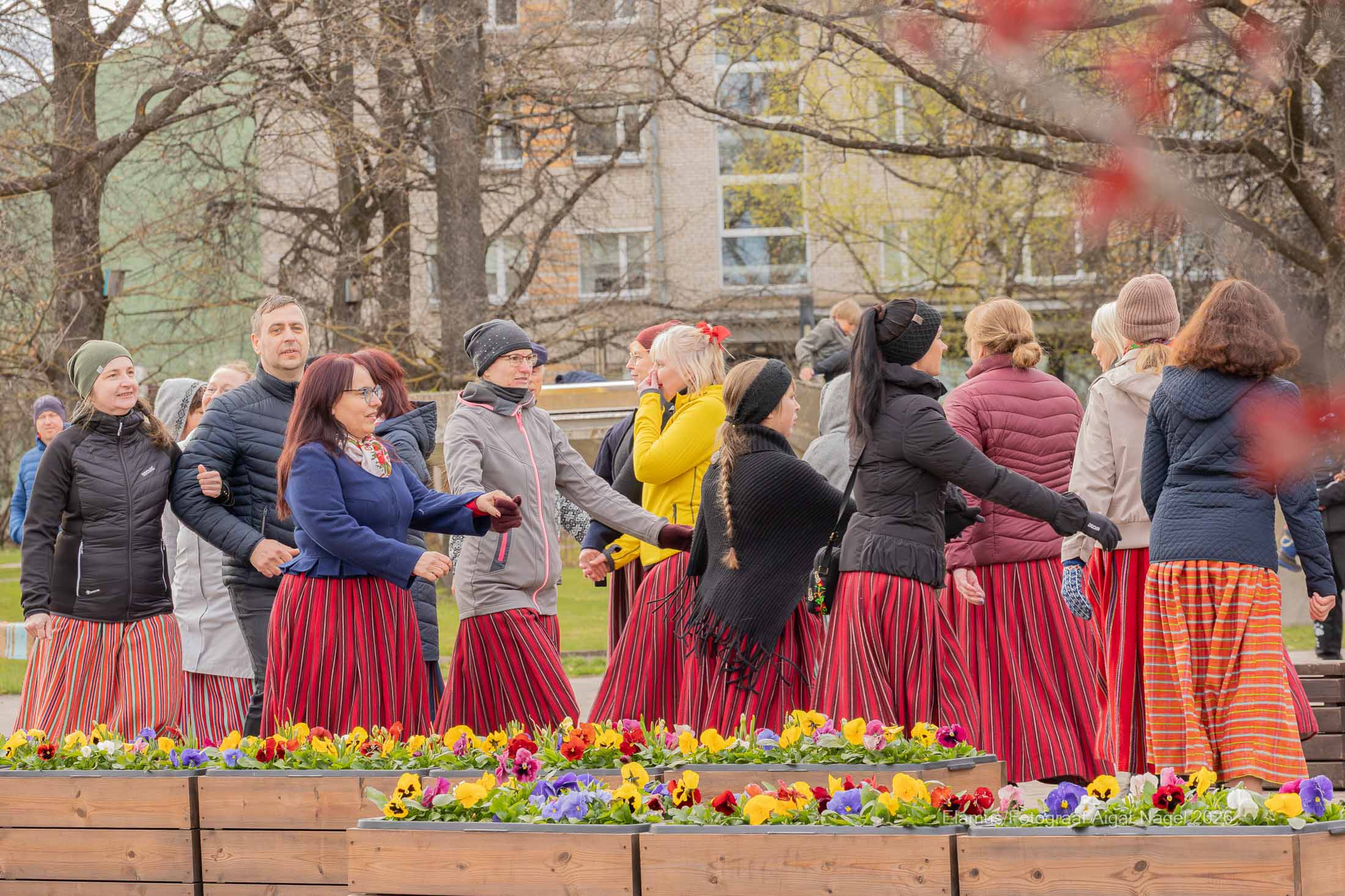 Jahedavõitu 29. aprilli õhtul tantsiti Kesklinna pargis meel rõõmsaks ja olemine soojaks. FOTOD: Aigar Nagel