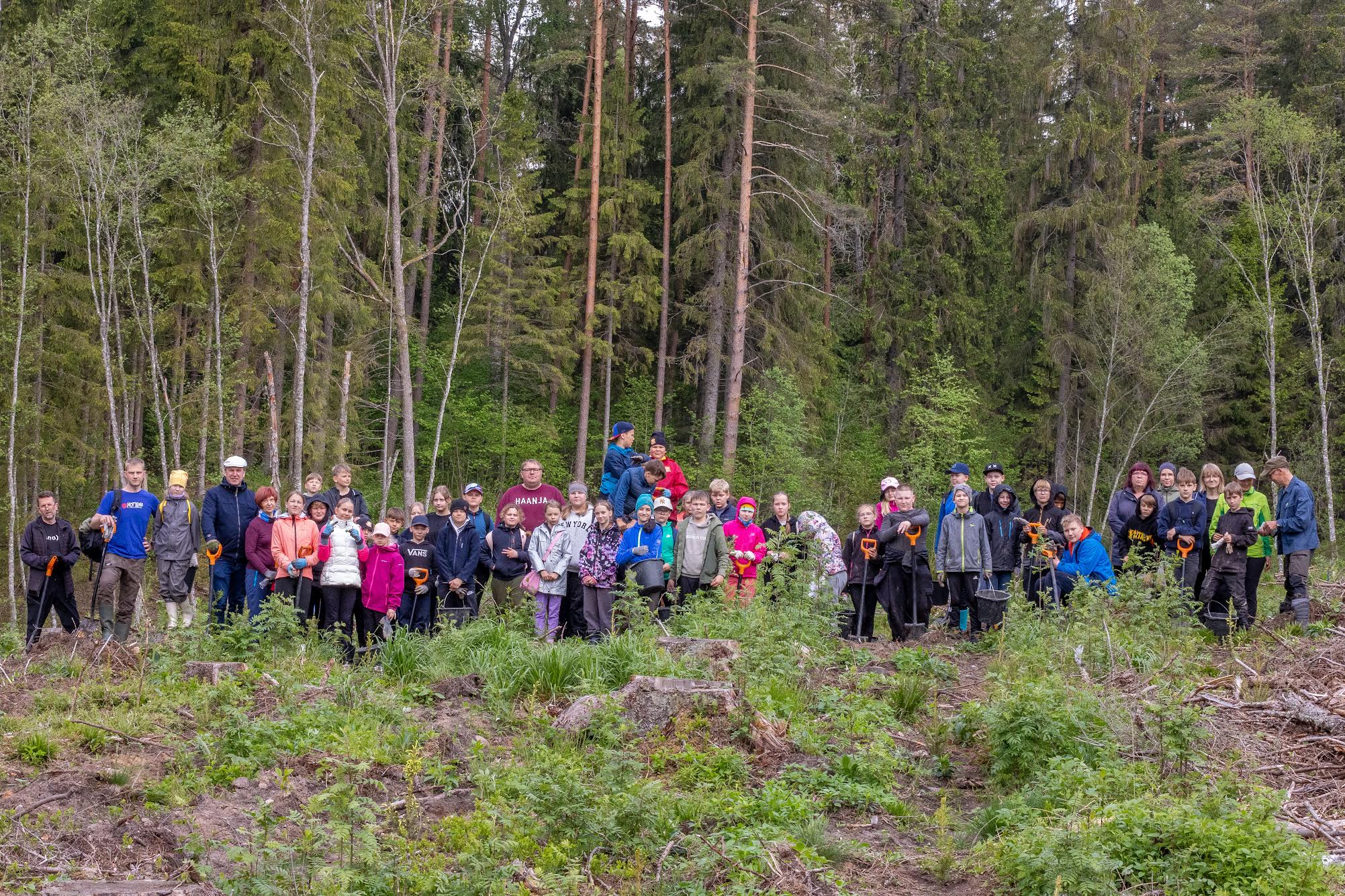 21. mail istutasid Võru linna koolide neljandate klasside õpilased ja Järve kooli õpilased kuuseistikuid, et panna alus tuleviku segametsale. Paaril järgneval aastal on see metsalank heaks metsmaasikakohaks. Neljanda klasside õpilastele annab aga enda istutatud mets hea võimaluse käia siin kasvamist ja arengut jälgimas ning teoreetilisele baasile lisaks praktilist õpet saamas. FOTOD: Aigar Nagel