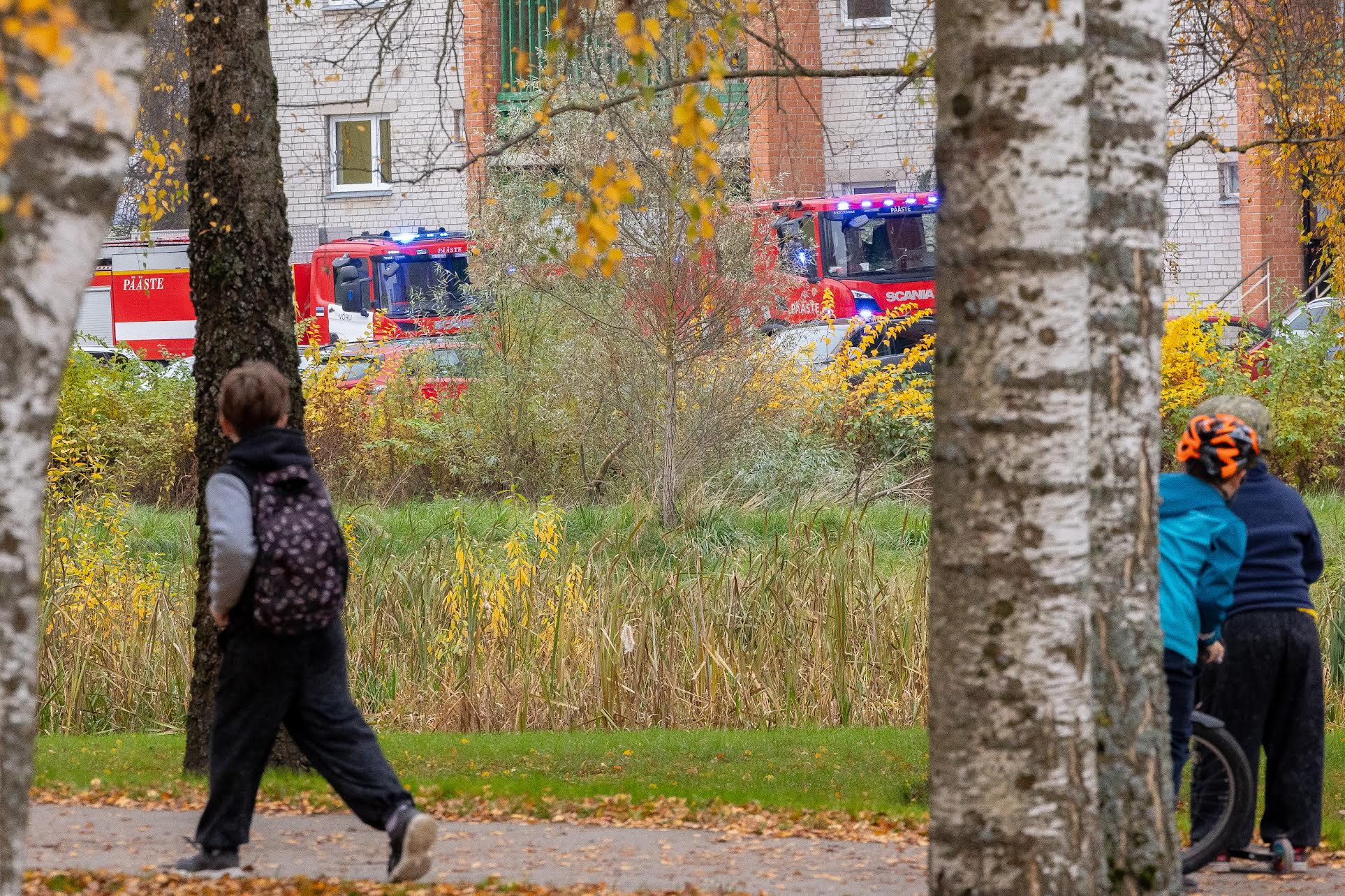 Ärevad sündmused 29. oktoobril Petseri tänav 2 kortermajas. Foto: AIGAR NAGEL