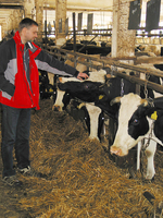 Toomas Pihu on veendunud, et piimakarjakasvatusel on potentsiaali ja sellesse tasub investeerida.