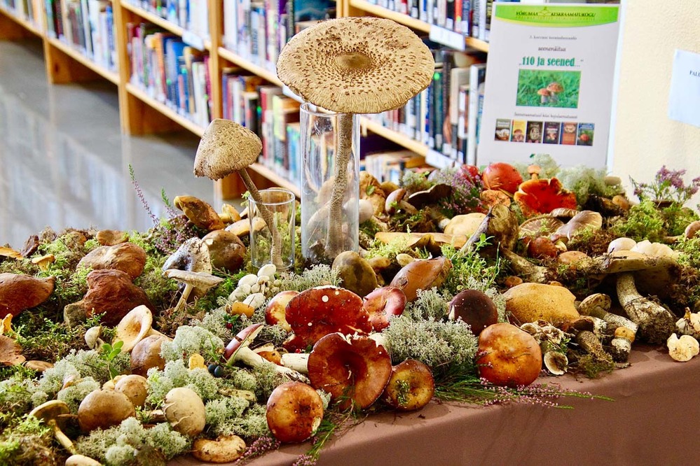 Seenenäituse juures oli hoiatus: „Ära käega puutu, sest näitusel on ka mürgiseid seeni!”. Keskel ilutsevaks seeneks on sirmik. Foto: KALEV ANNOM